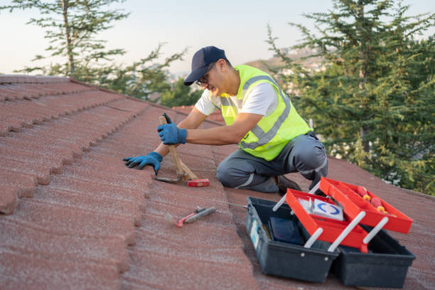 Best Flat Roof Repair Services  in Mishawaka, IN